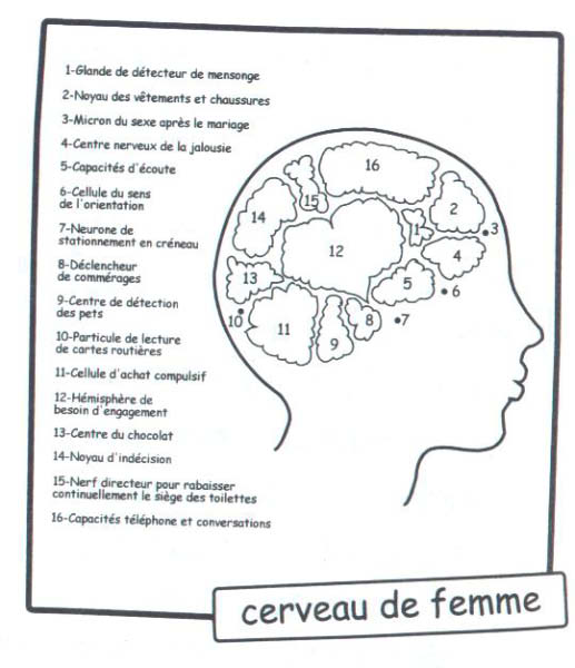 femme 01-humourenvrac